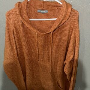 Natural Reflections Rust Knit Hooded Sweater